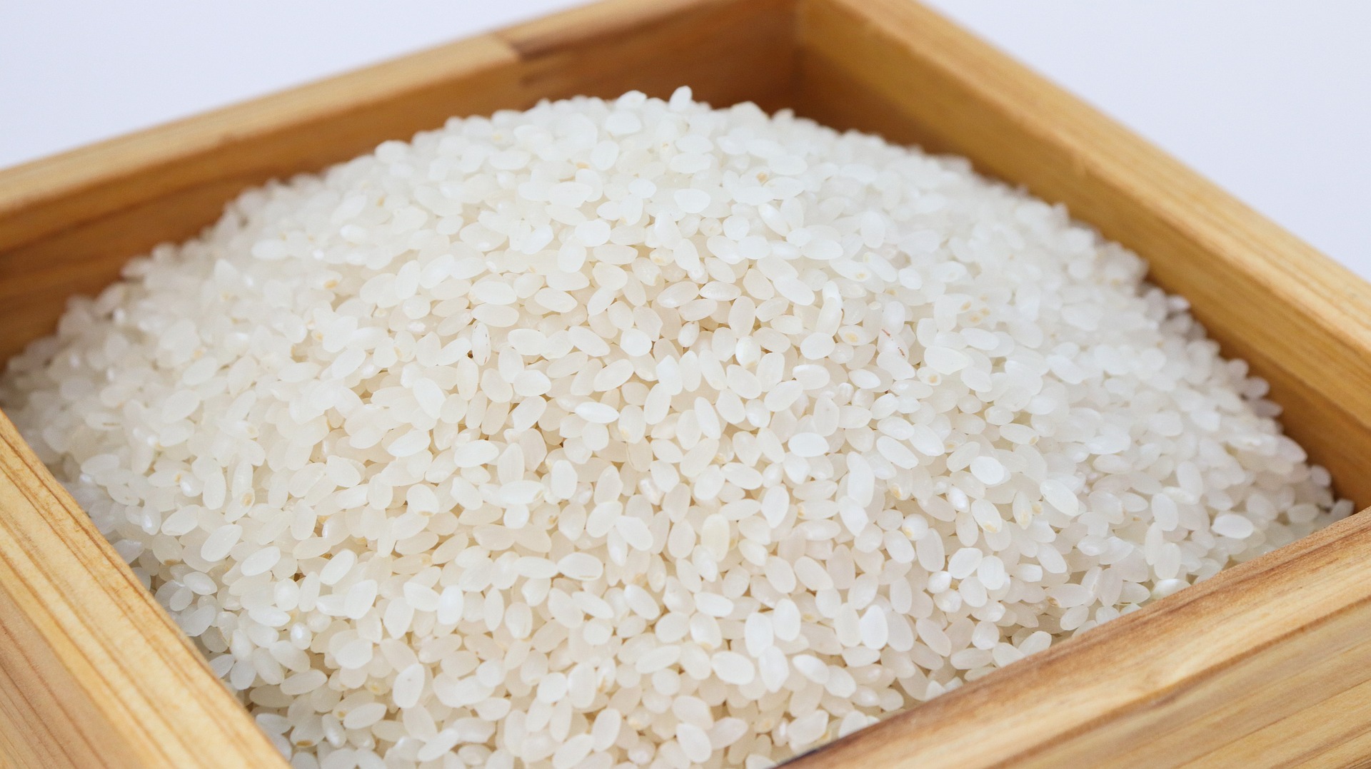 rice 3997767 1920 (1)